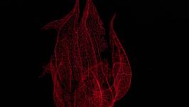 Stephane AUPETIT - STEPHANE AUPETIT PHOTOGRAPHIE