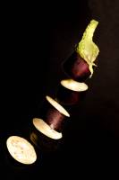 Stephane AUPETIT - STEPHANE AUPETIT PHOTOGRAPHIE